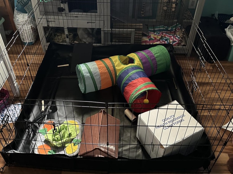 Small Animal Playpen