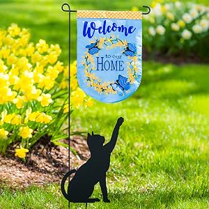 cat welcome home