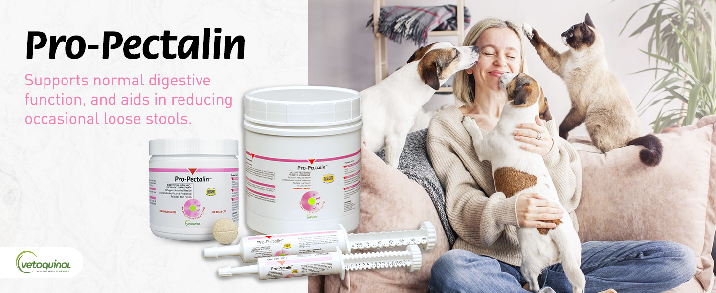probiotics for dogs