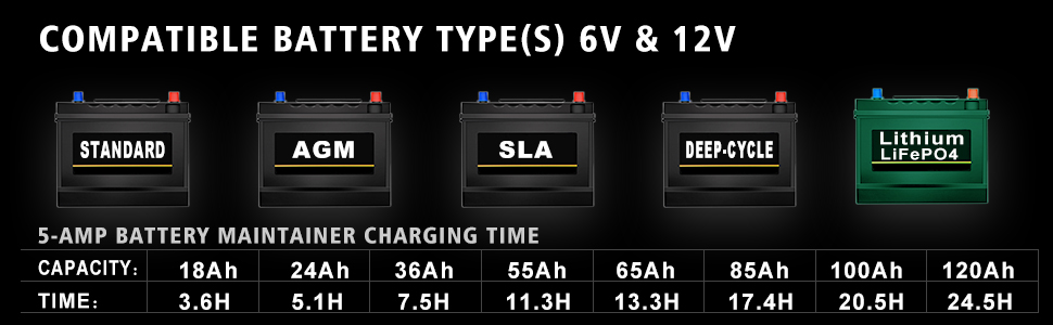 Automatic Battery Charger