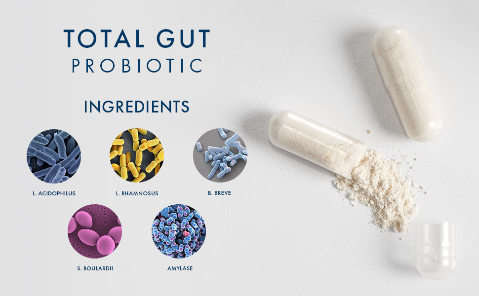 BIOHM Total Gut Probiotic ingredients