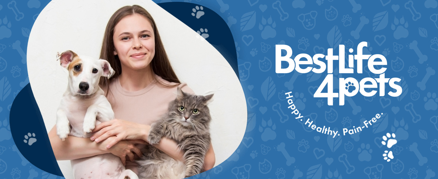 Cat Dental Health Oral Health For Cats Best Life 4 Pets Bad Breath Pills Tasteless Odorless Clean