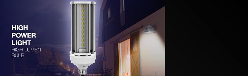High lumen LED light bulb