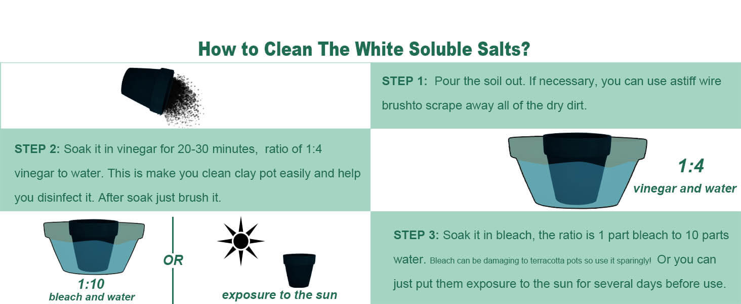 how to clean