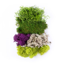 Supermoss