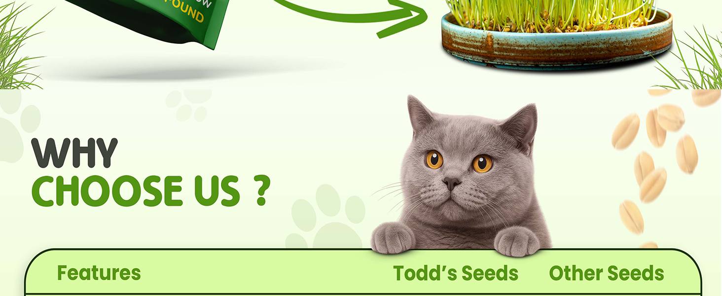 Why choose Todd&amp;#39;s Seeds: pet-safe, non-GMO, chemical-free, top germination vs other seeds