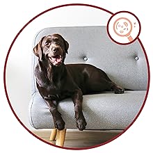 nutra thrive coprophagia treatment allergy immunity yeast infection treatment paw soother glandex