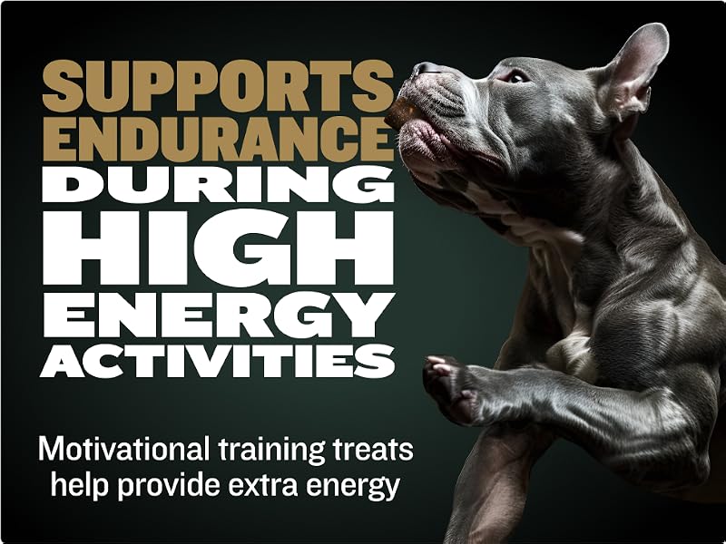 Supports endurance during high energy activities motivational training treats helps give energy
