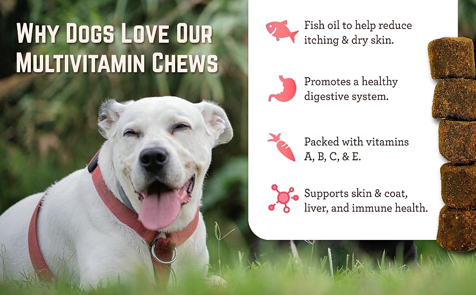 Advanced Multivitamin supports skin and coat, digestive health, hip and joint, and immune system