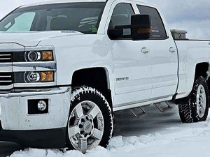 Durable All-Weather Guard