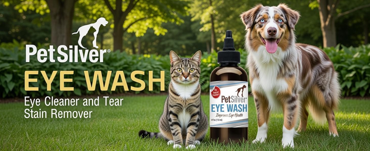 colloidal silver eye drops cats humans treatment dogs antibiotic pet wash infection solution