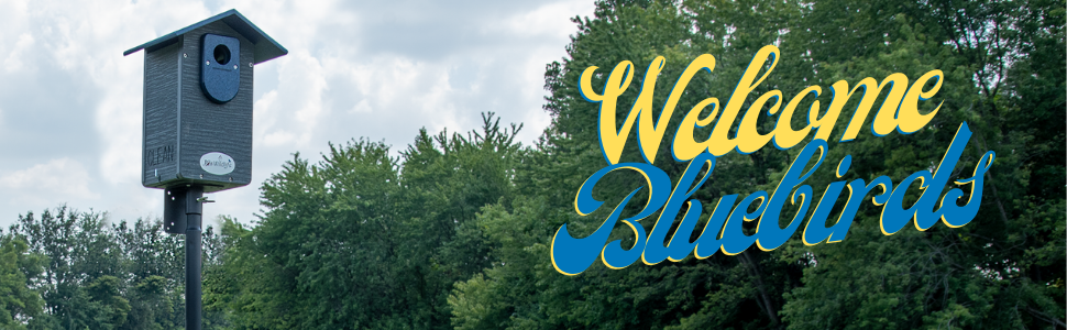 Welcome Bluebirds