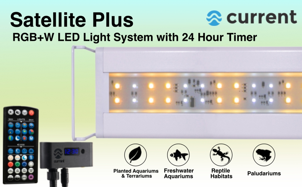 LED Light