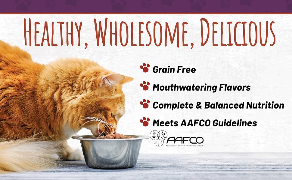 cat grain free wet cat food canned can
