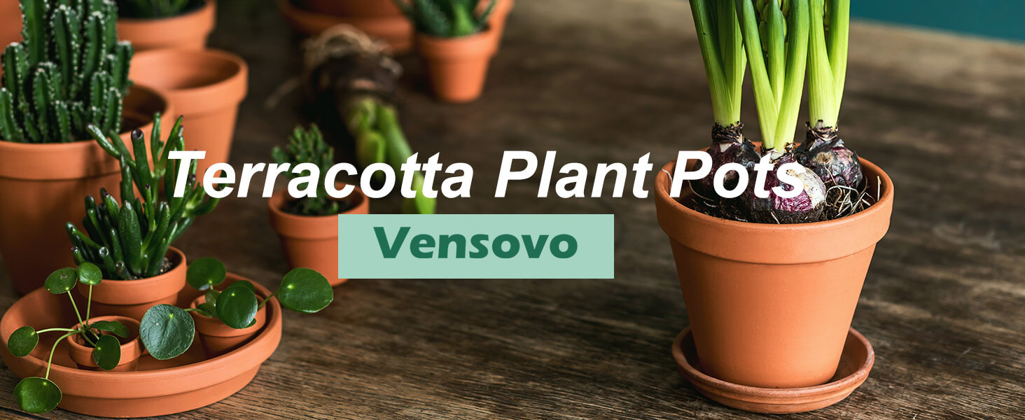 terracotta pots