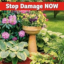 deer repellent natural petsafe scent granular safe