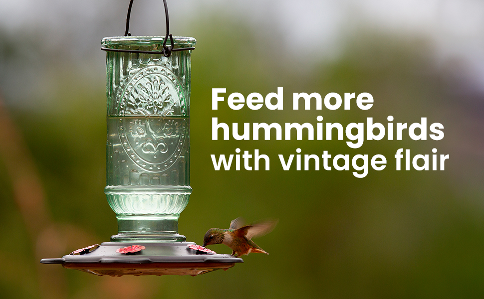 More Birds Vintage Glass Hummingbird Feeder feeds more hummingbirds with vintage flair