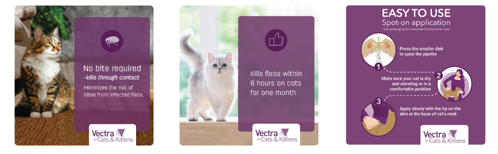 VCK Carousel Banner