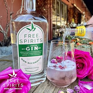 Non-Alcoholic Pink Gin &amp; Tonic