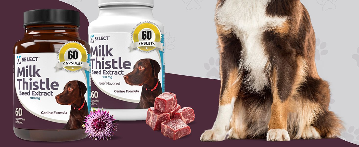 Dog Liver Support