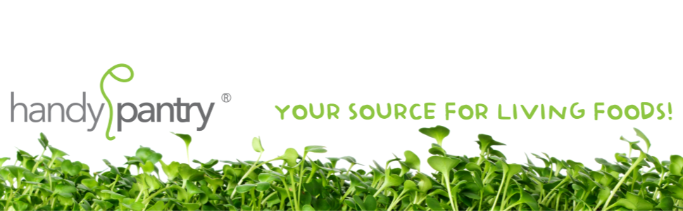 handy pantry logo your source for living foods gypsum food grade