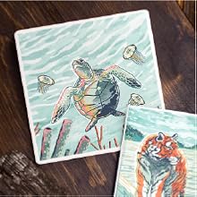 Lantern Press | It's All About the Image