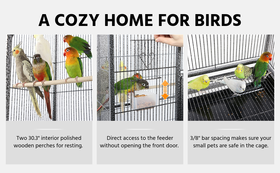 bird cage