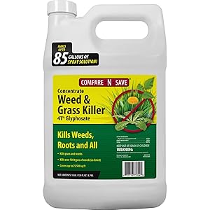 gallon