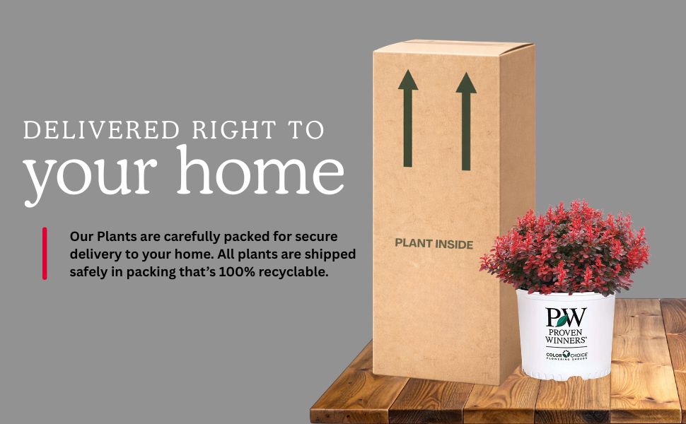 Delivered to your home