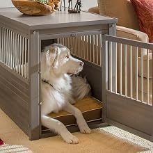 XL Dog in XL Crate