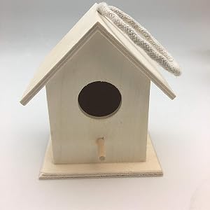 oojami bird 2