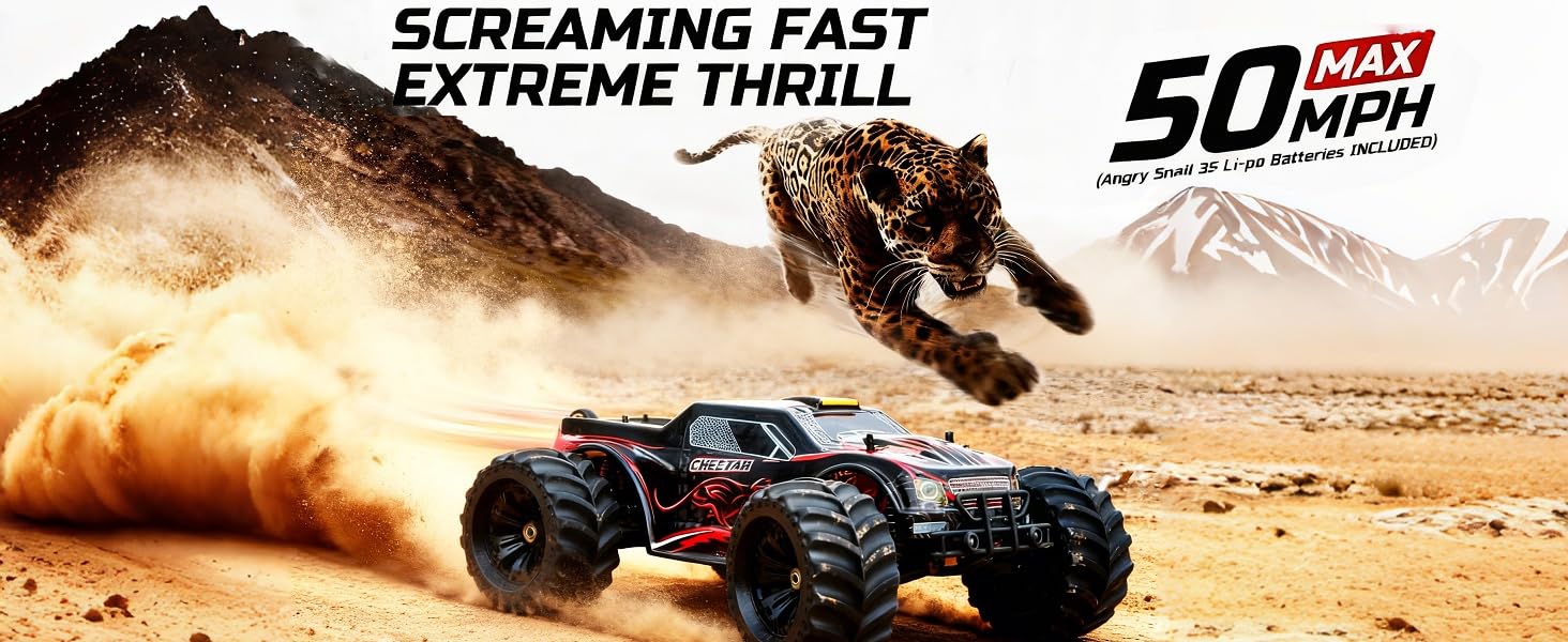 rc cars for adults