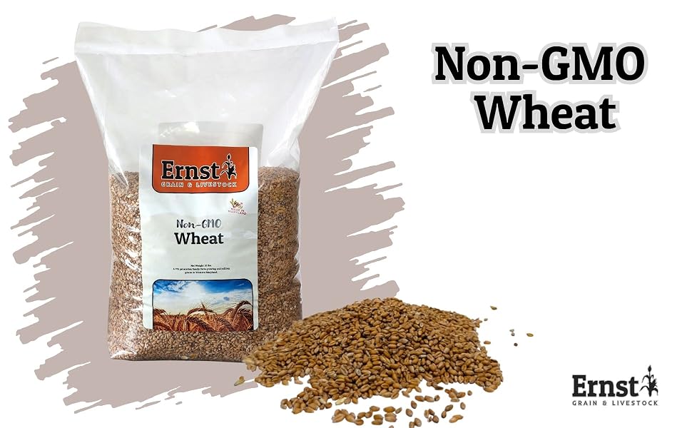 Bag of Non-GMO Wheat