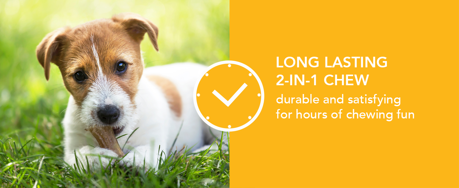 Long Lasting