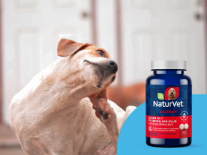 NaturVet Allergy