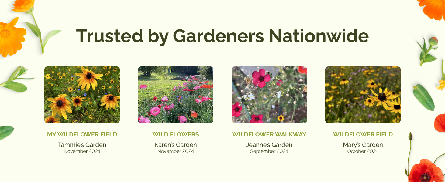 Eden Brothers, Eden Bros, Eden Brothers Seeds, Sunflower Seeds