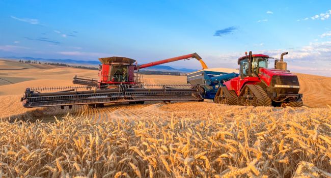 Grown on the Palouse