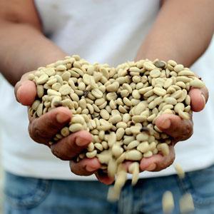illy has worked over the past 25 years to create an ethical supply chain and achieve sustainability.