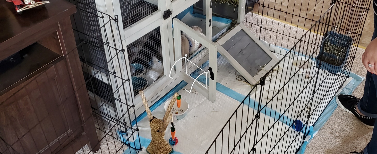Bunny Run playpen