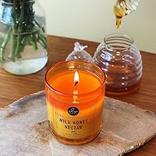 DW Home wild honey nectar scented candle with clean burning cotton wick and warm amber glass jar
