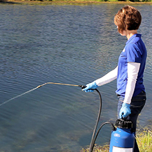 Woman spraying Sonar product in pond