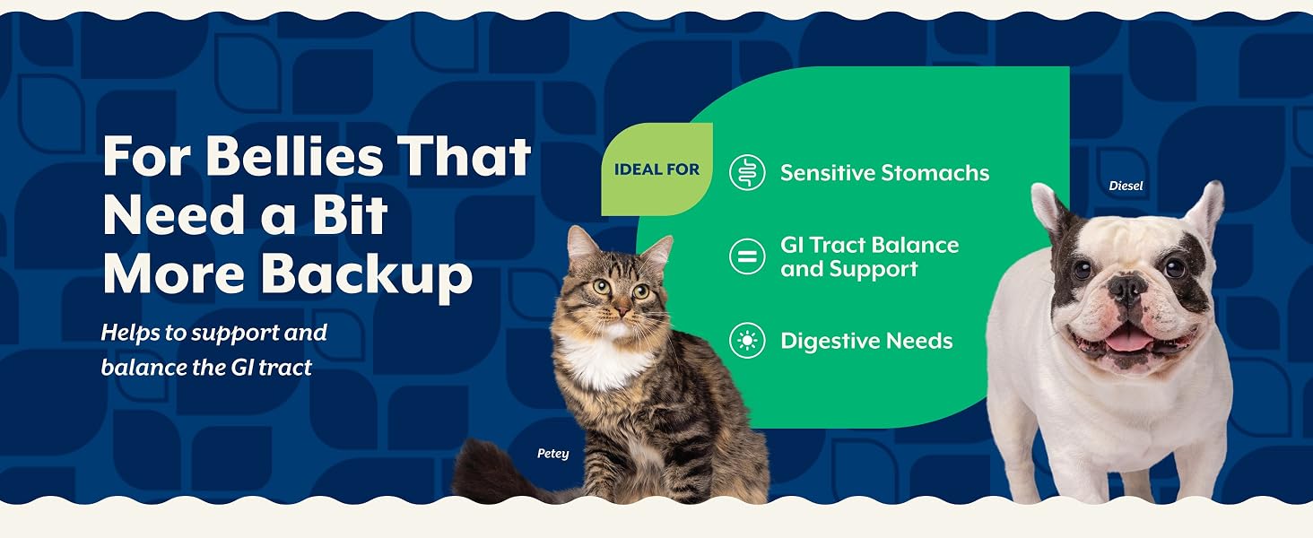 Pet Probiotics