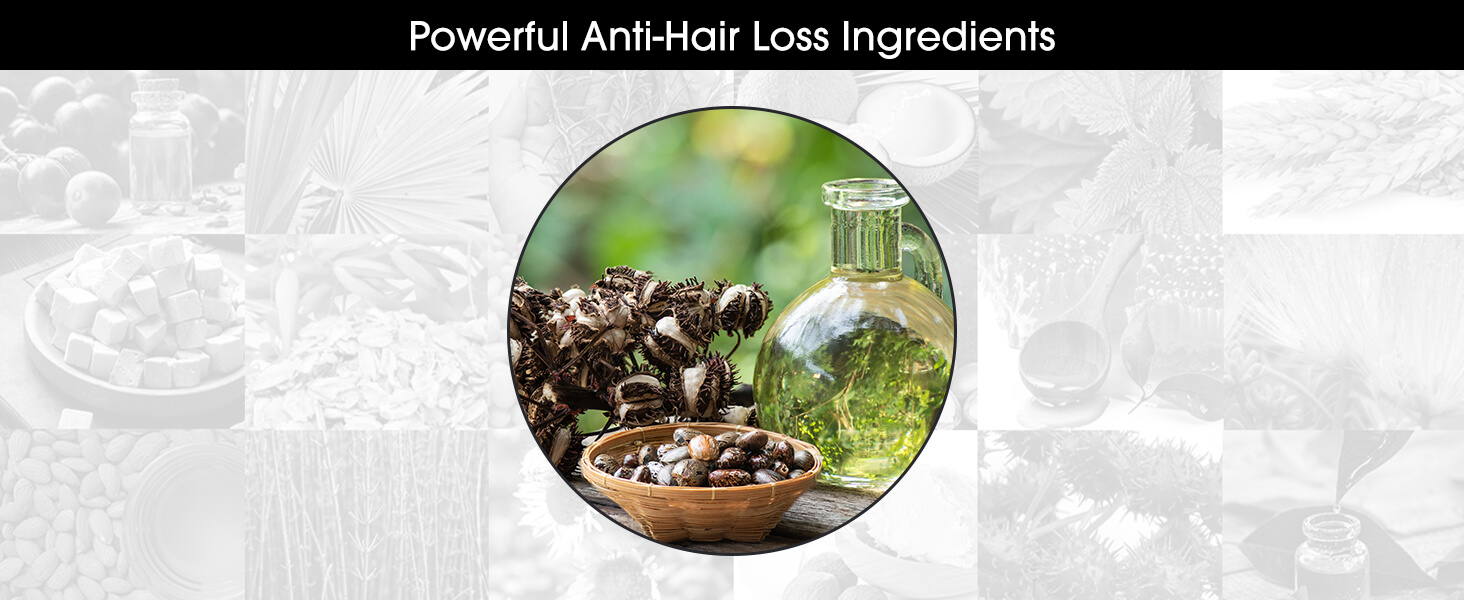 Shiny Leaf DHT shampoo and conditioner - Biotin Castor Oil Rosemary Champú acondicionador anticaída