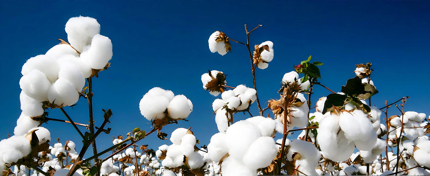 cotton quilt