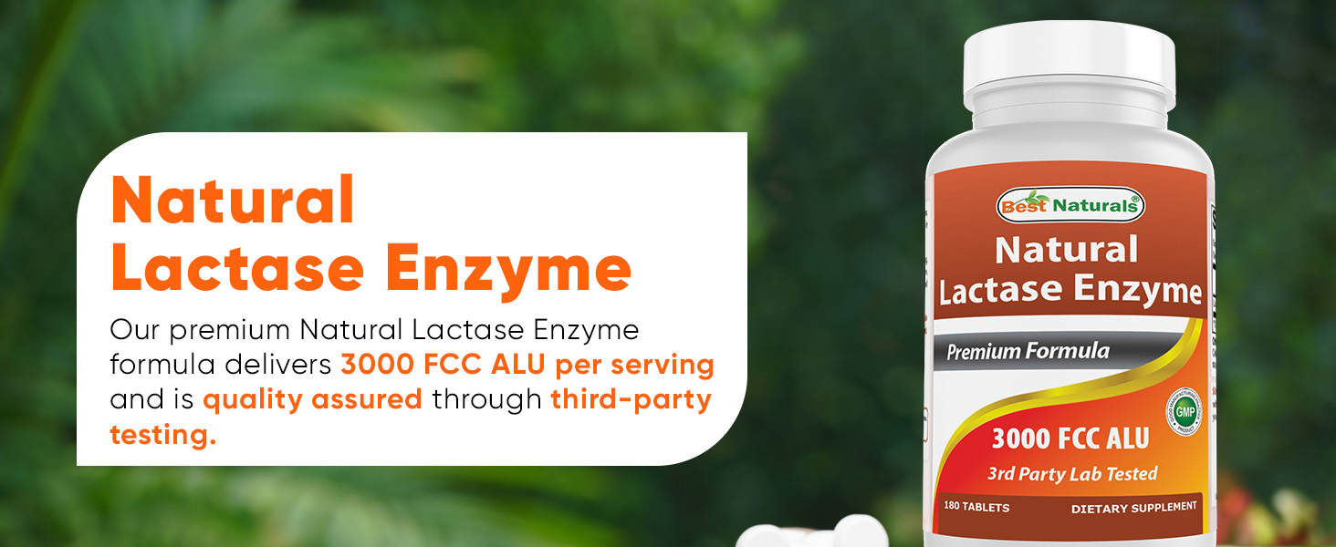 Lactase Enzyme