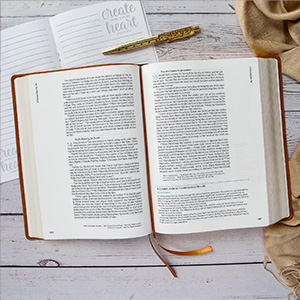 bible, lisa terkeurst bible, angie smith bible, lauren chandler bible, gloria furman bible, harper