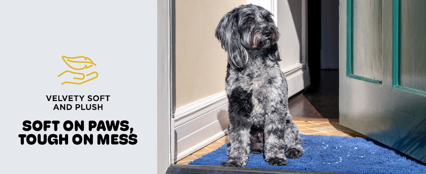 dirty, doormat, runner, carpet, clean, cleaning, floors, trapping, pets, non, slip muddy mats