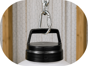 A strong carabiner hooked to the top of a hanging chicken waterer handle