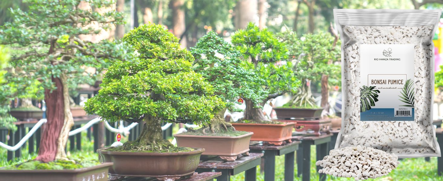 bag of pumice over background with bonsai trees