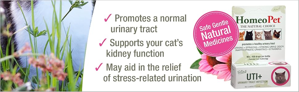 A pack of cat UTI medicine for urinary-tract infections
